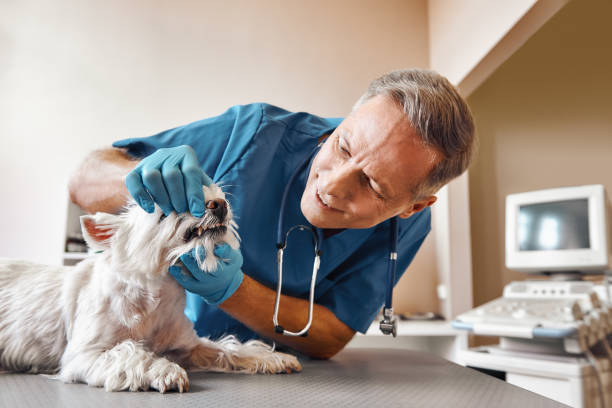 Best Emergency Dental Care for Trauma or Injury in Mountainside, NJ